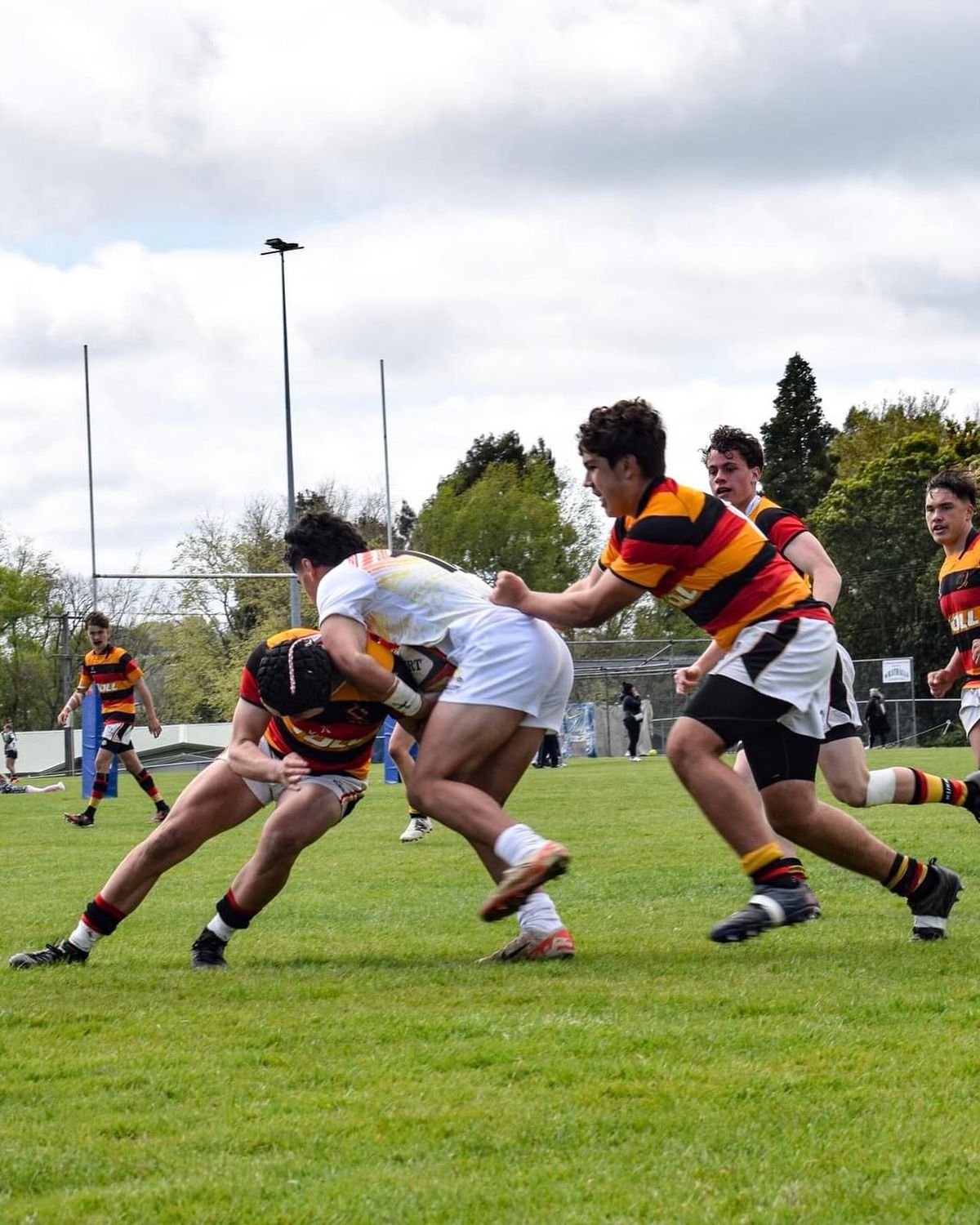 22b82db91b3a55cc1566cd5005d9b454